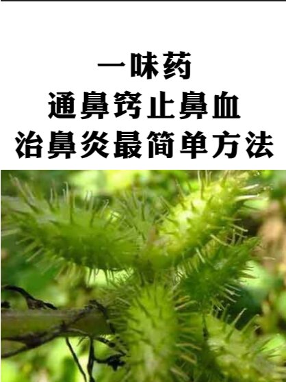 包含九军队行所止偏初起建鼻之人径的词条